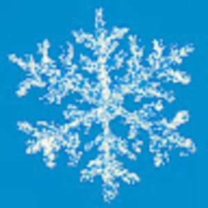 Meet your Posher, Karina